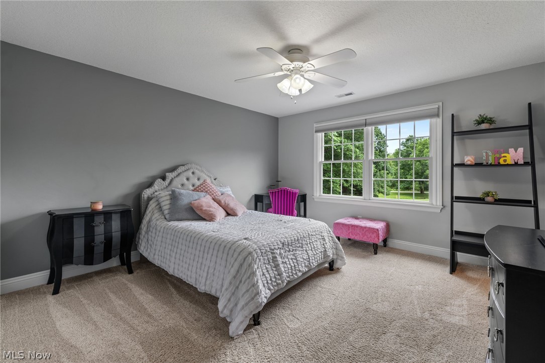 41340 Spring Hill Road Leetonia OH 44431