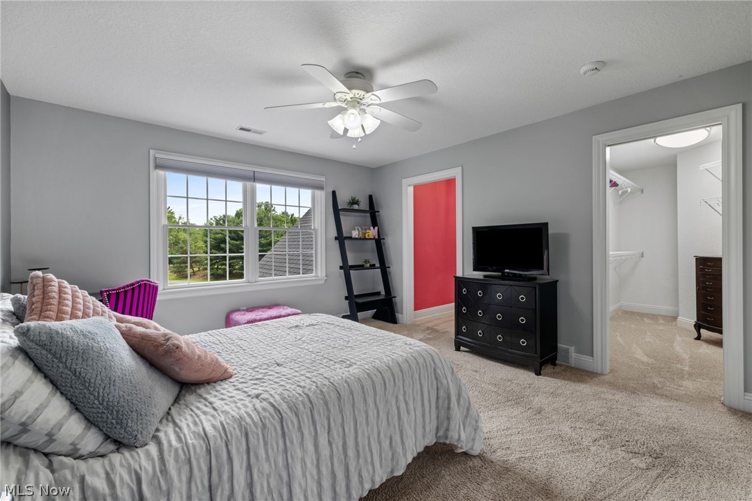 41340 Spring Hill Road Leetonia OH 44431