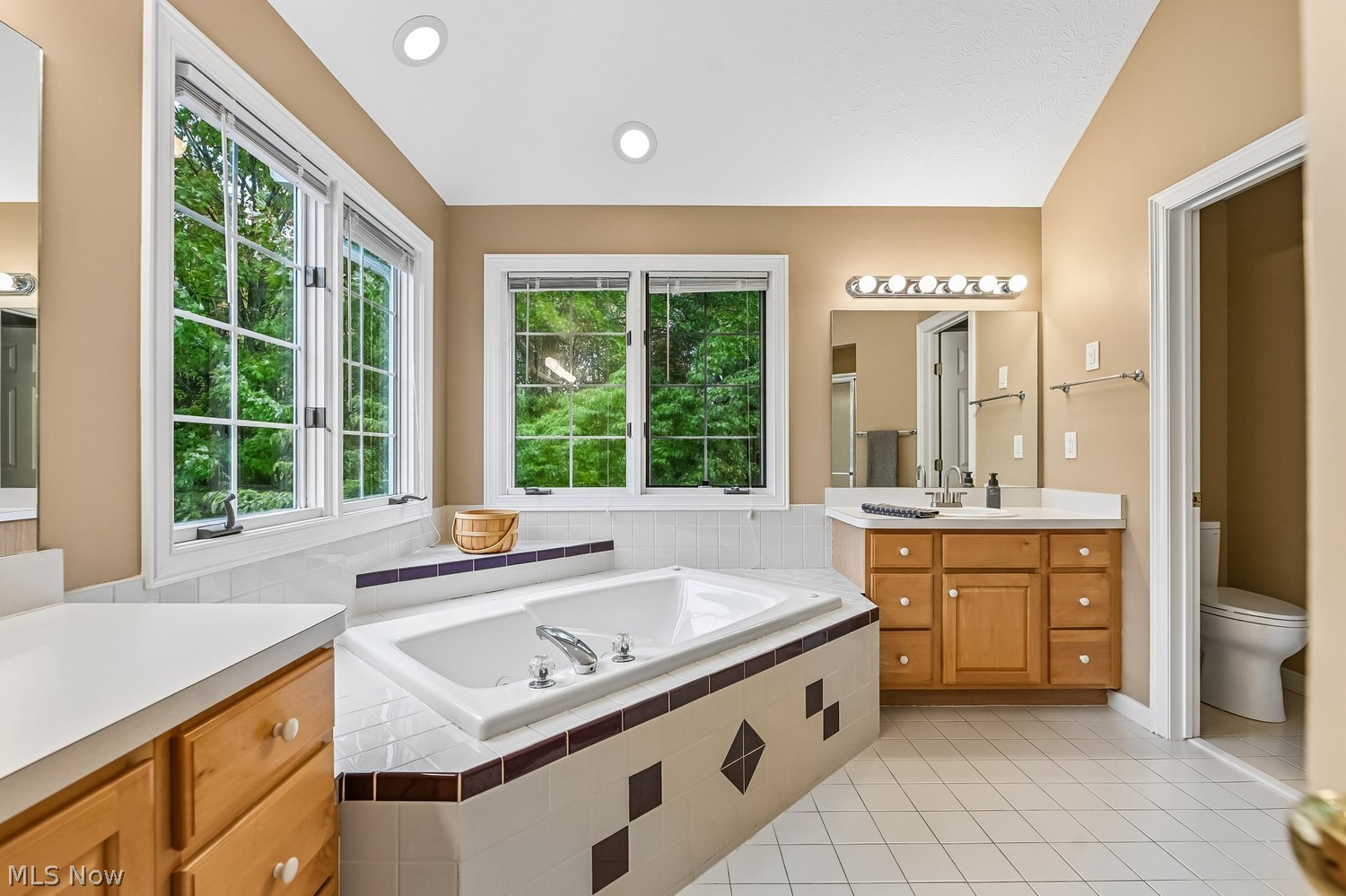 470 Walnut Ridge Trail Aurora OH 44202