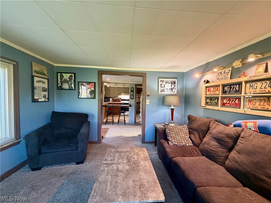 13268 Shady Lane Chesterland OH 44026