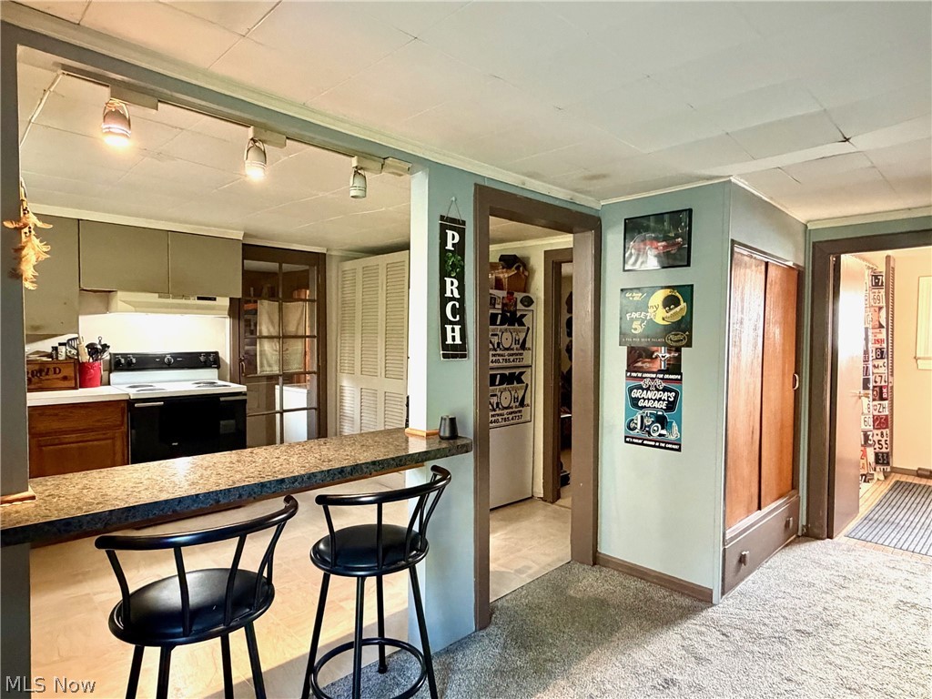 13268 Shady Lane Chesterland OH 44026