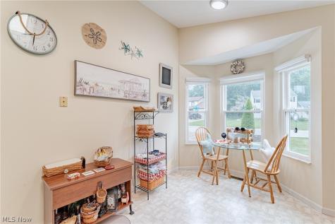 336 Middlefield Court Painesville OH 44077