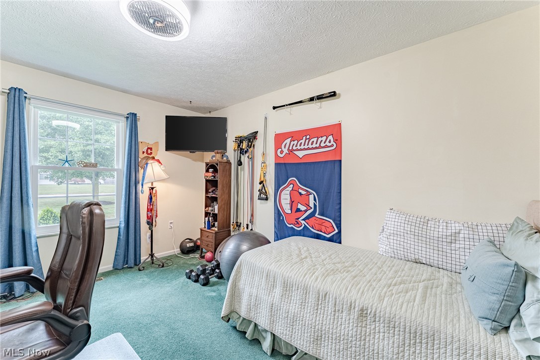 336 Middlefield Court Painesville OH 44077