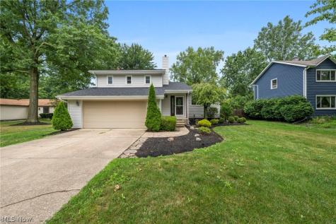 1099 Westfield Circle Painesville OH 44077