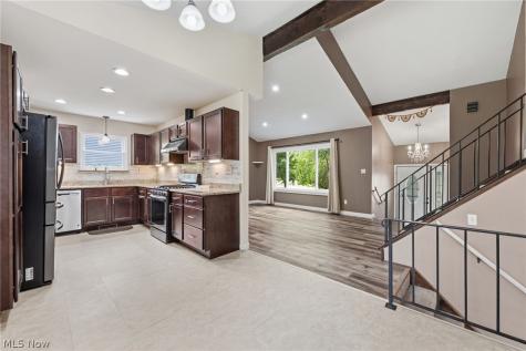 1099 Westfield Circle Painesville OH 44077