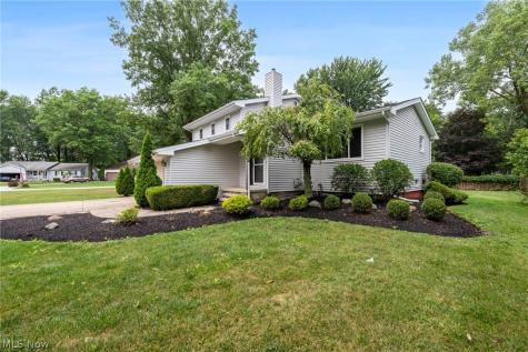 1099 Westfield Circle Painesville OH 44077