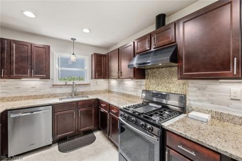 1099 Westfield Circle Painesville OH 44077