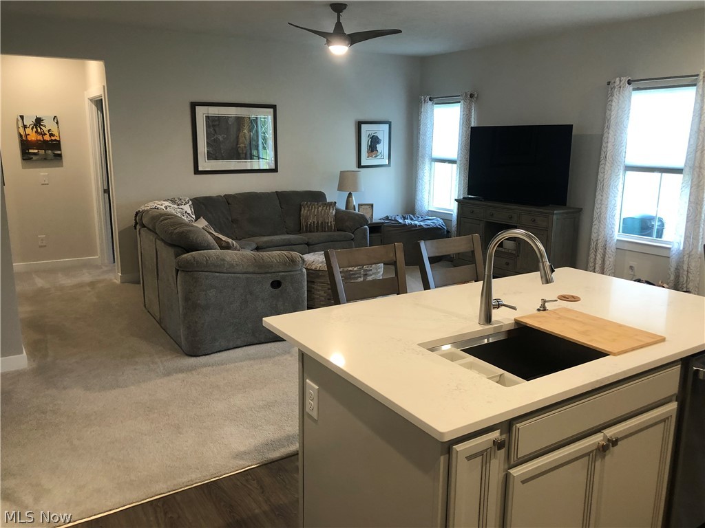 325 Kelley Drive Macedonia OH 44056