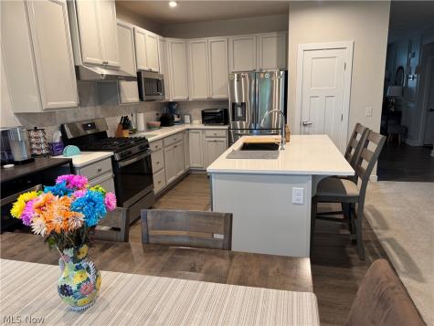 325 Kelley Drive Macedonia OH 44056
