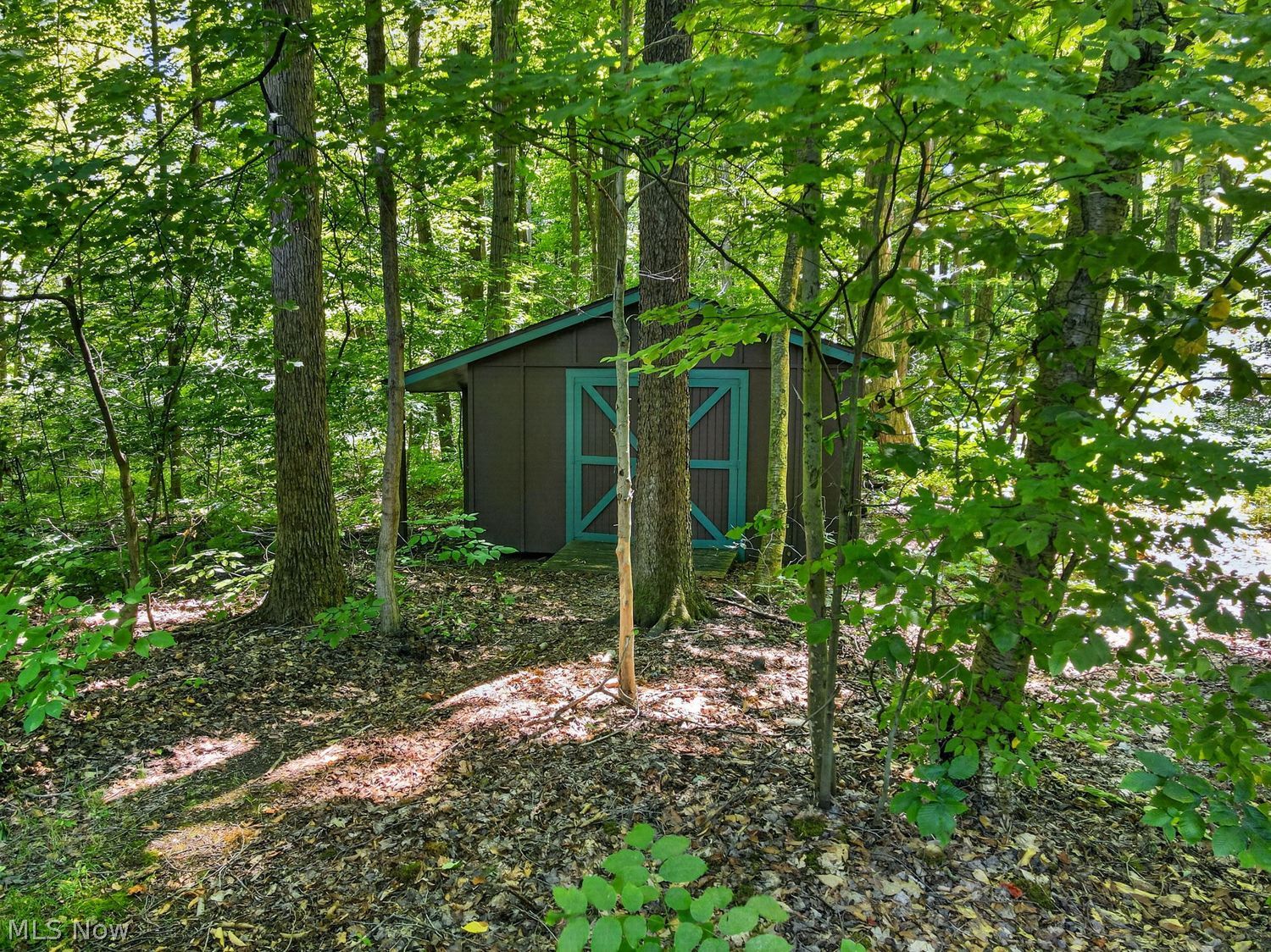 8975 Forest Lane Chesterland OH 44026