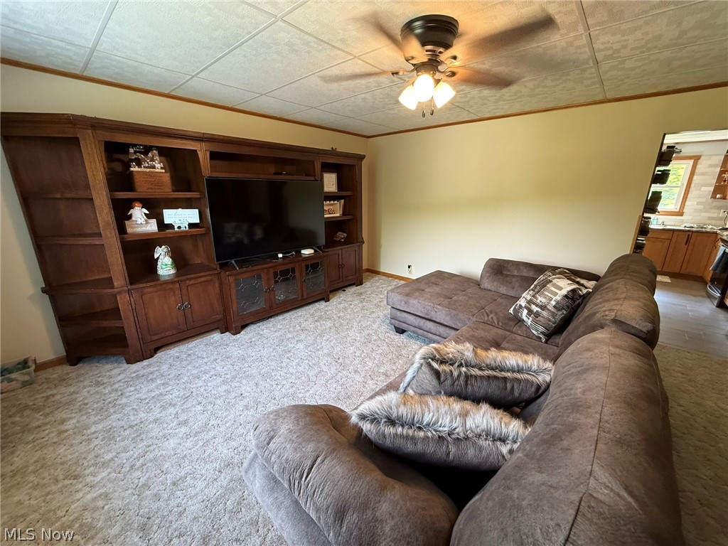 4223 Blacksnake Hill Road NE Dover OH 44622