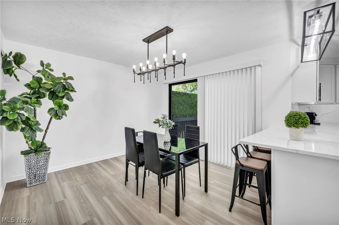 3741 Woodridge Road Cleveland Heights OH 44121