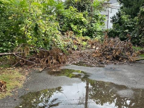 499 E 124 Street Cleveland OH 44108