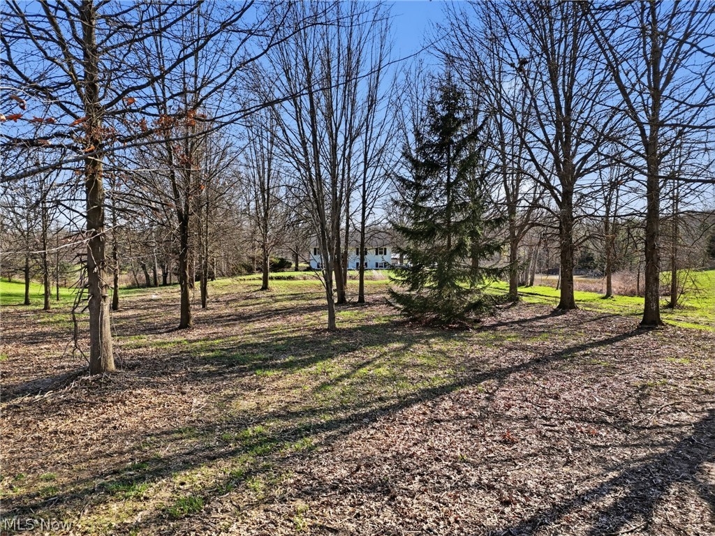 9800 Williams Road Diamond OH 44412
