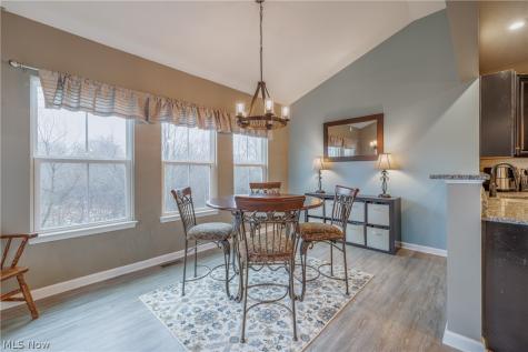 165 Lakeland Way Aurora OH 44202