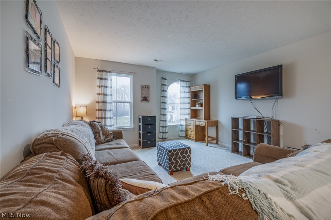 165 Lakeland Way Aurora OH 44202
