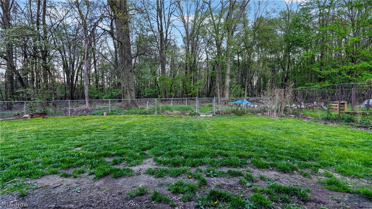3289 Cricket Drive Youngstown OH 44511