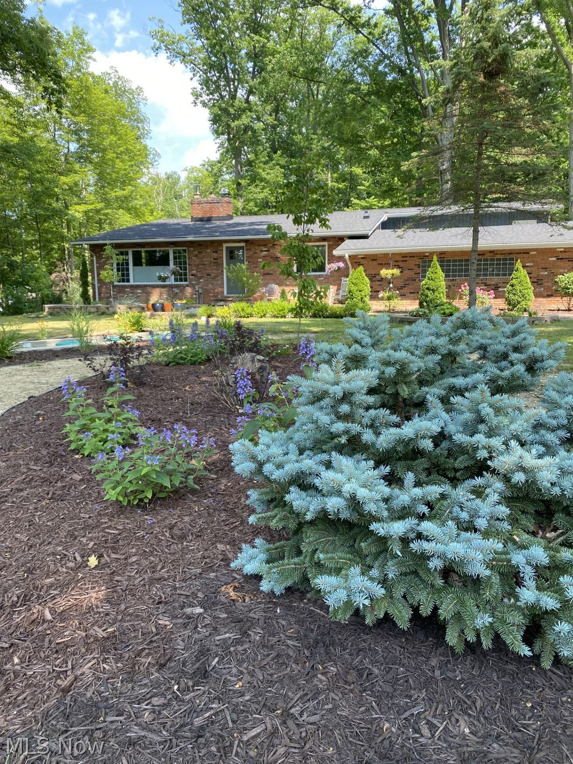 11385 County Line Road Chesterland OH 44026