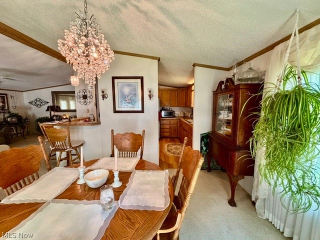 122 Northgate Drive NE Warren OH 44484