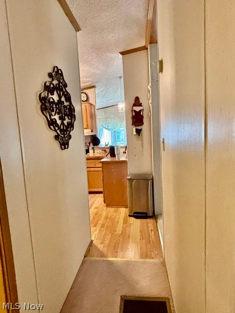 122 Northgate Drive NE Warren OH 44484