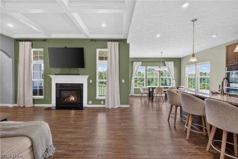 8492 Raya Lane Streetsboro OH 44241