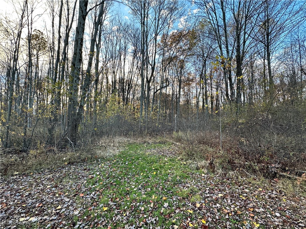 651 Parker Road Aurora OH 44202