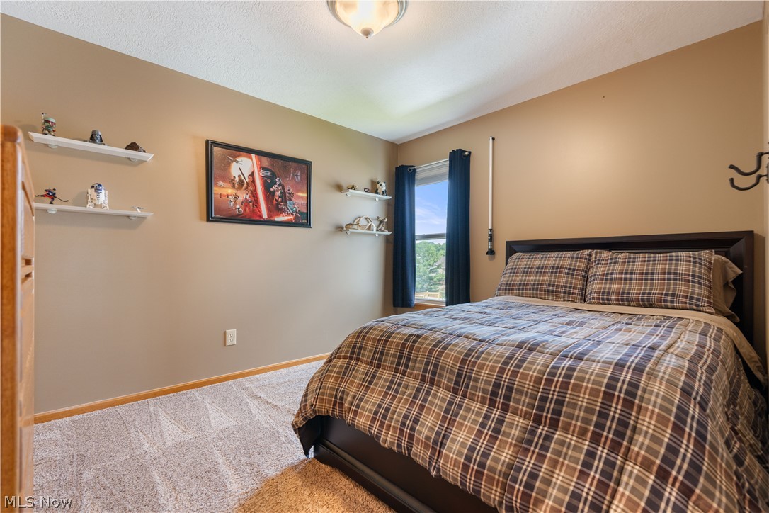 5580 Bilney Court Medina OH 44256