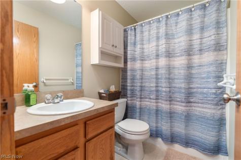 5580 Bilney Court Medina OH 44256