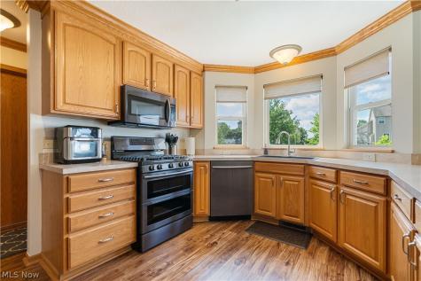 5580 Bilney Court Medina OH 44256