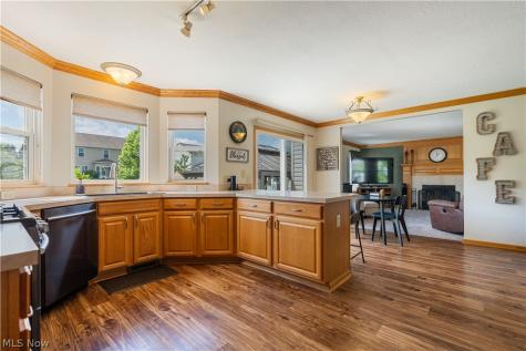 5580 Bilney Court Medina OH 44256