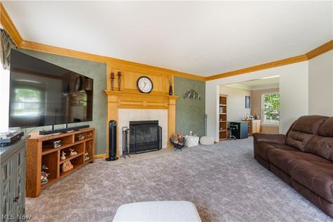 5580 Bilney Court Medina OH 44256