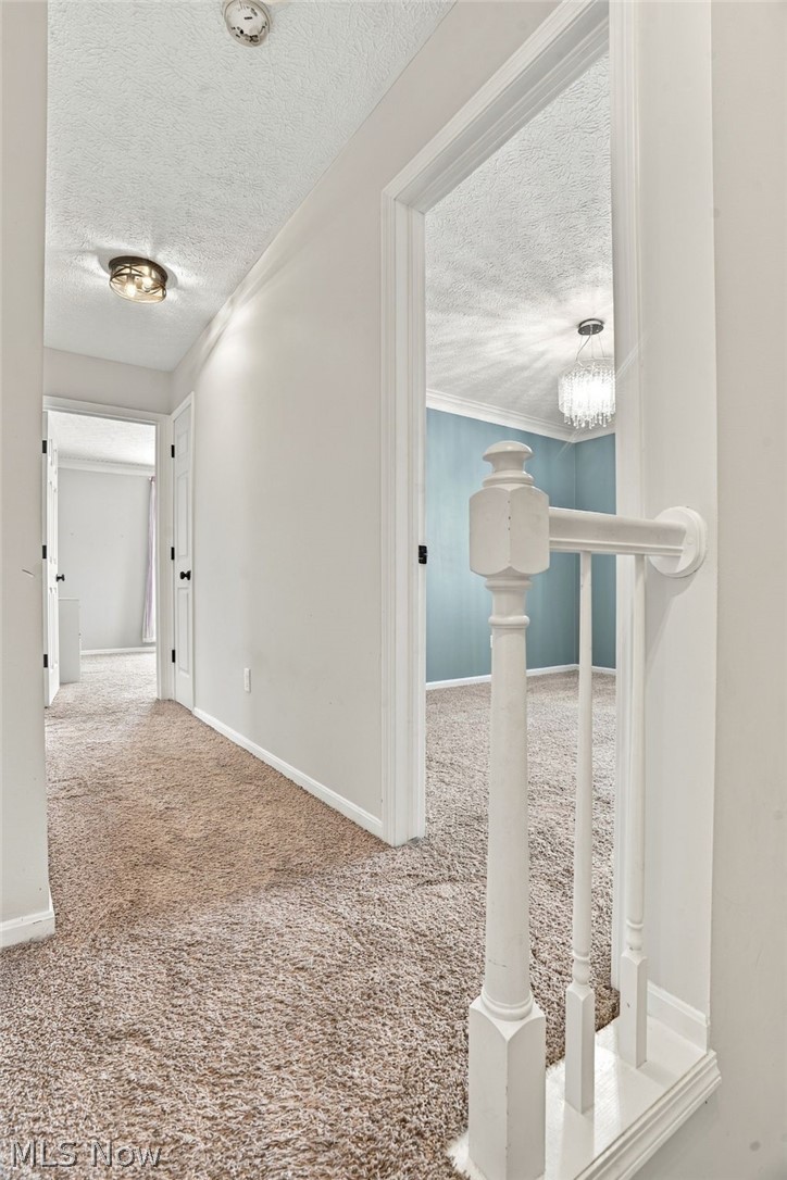 1064 Danielle Avenue Louisville OH 44641