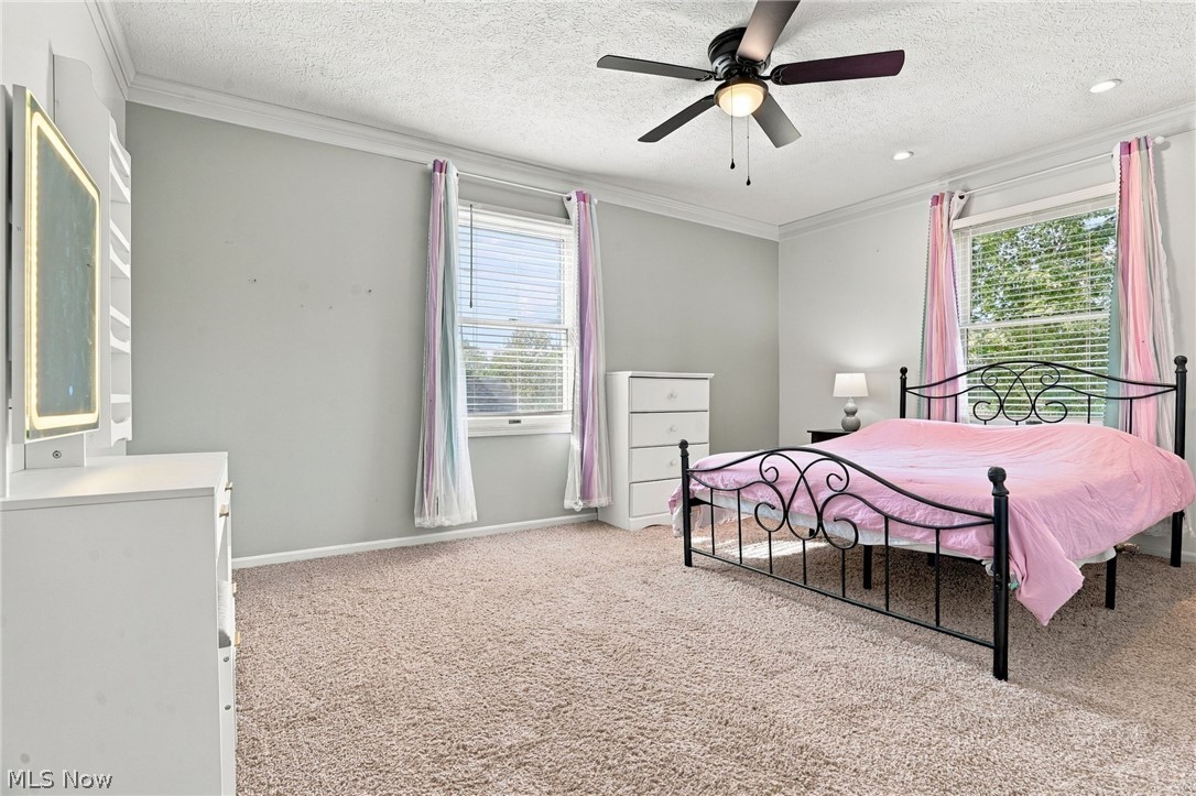 1064 Danielle Avenue Louisville OH 44641