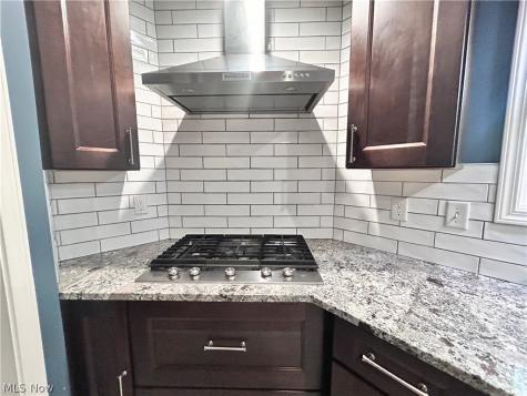 1011 Learidge Road Lyndhurst OH 44124