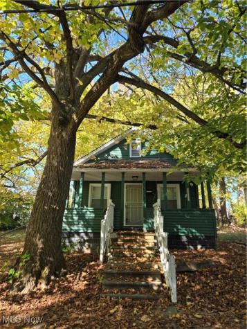 10011 Elizabeth Avenue Cleveland OH 44105