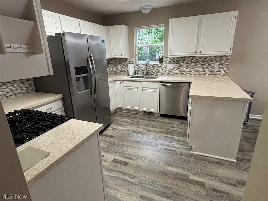 695 Meadowlark Road Painesville OH 44077