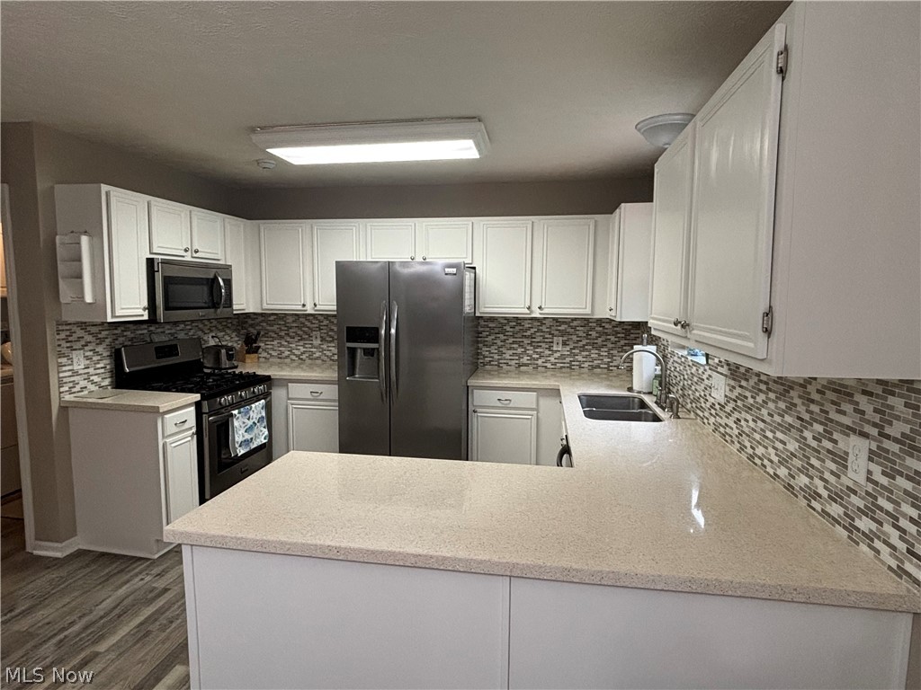 695 Meadowlark Road Painesville OH 44077