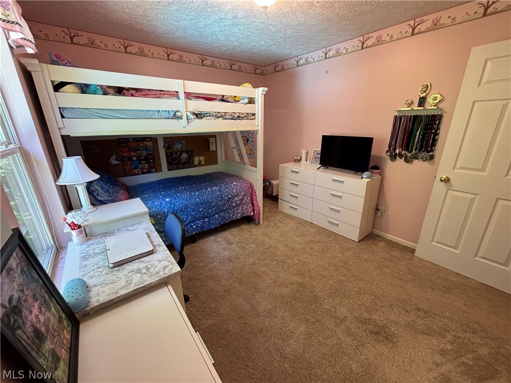 695 Meadowlark Road Painesville OH 44077