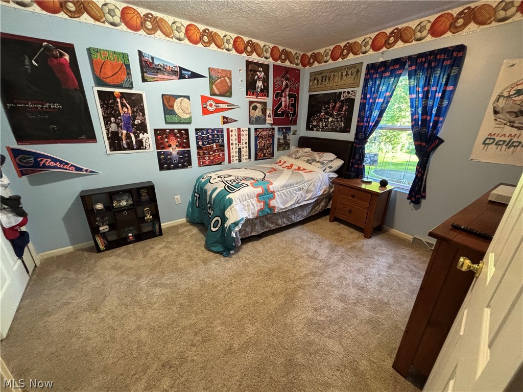 695 Meadowlark Road Painesville OH 44077