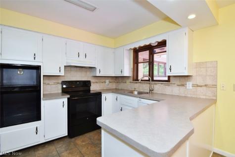 1878 Caronia Drive Lyndhurst OH 44124