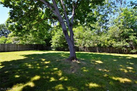 1878 Caronia Drive Lyndhurst OH 44124