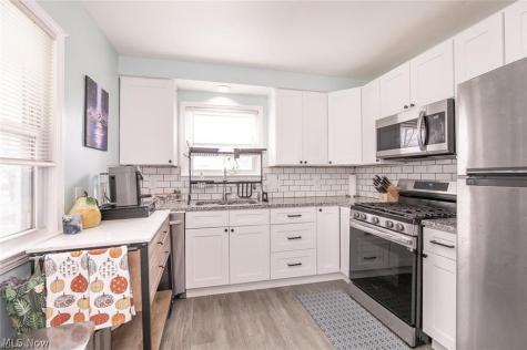 25151 Zeman Avenue Euclid OH 44132
