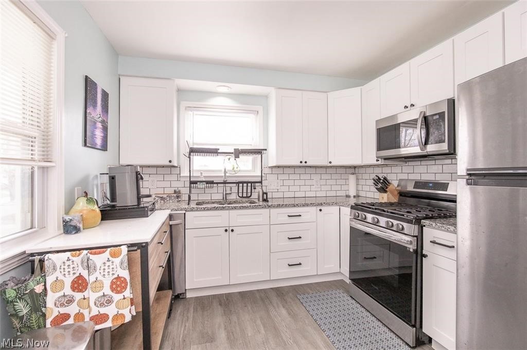 25151 Zeman Avenue Euclid OH 44132