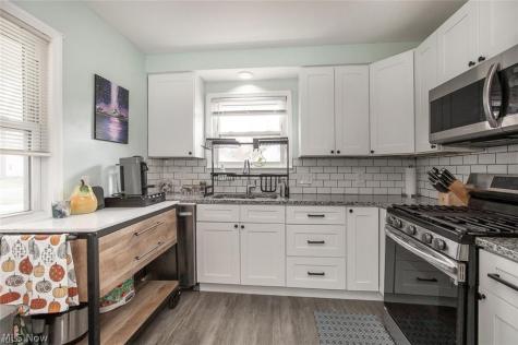 25151 Zeman Avenue Euclid OH 44132