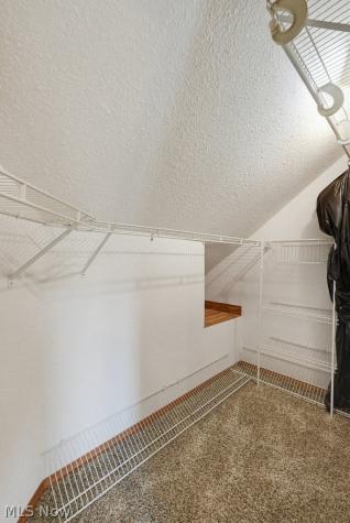 30426 Thomas Street Willowick OH 44095