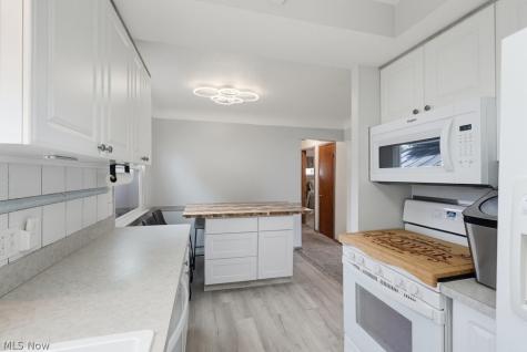 30426 Thomas Street Willowick OH 44095
