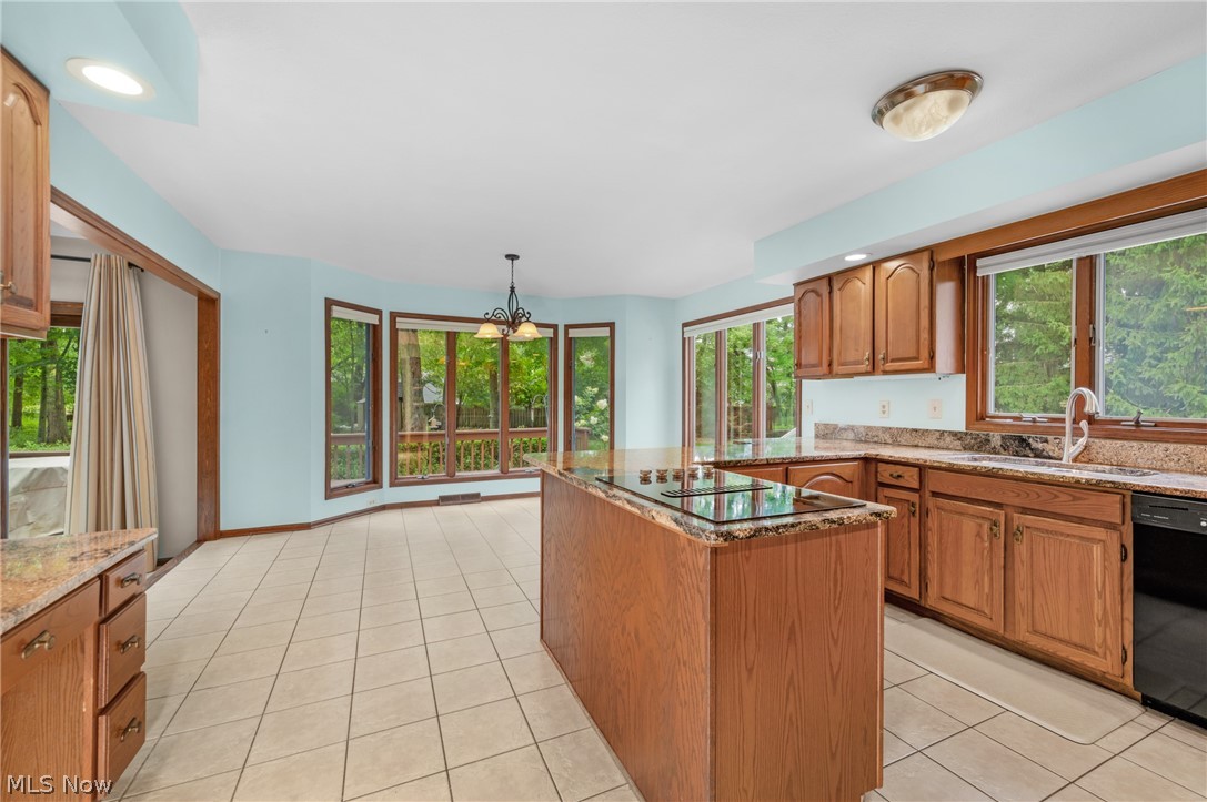 2374 Brigadoon Court Westlake OH 44145