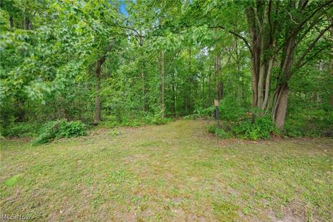 34452 Heatherwood Avenue Avon OH 44011