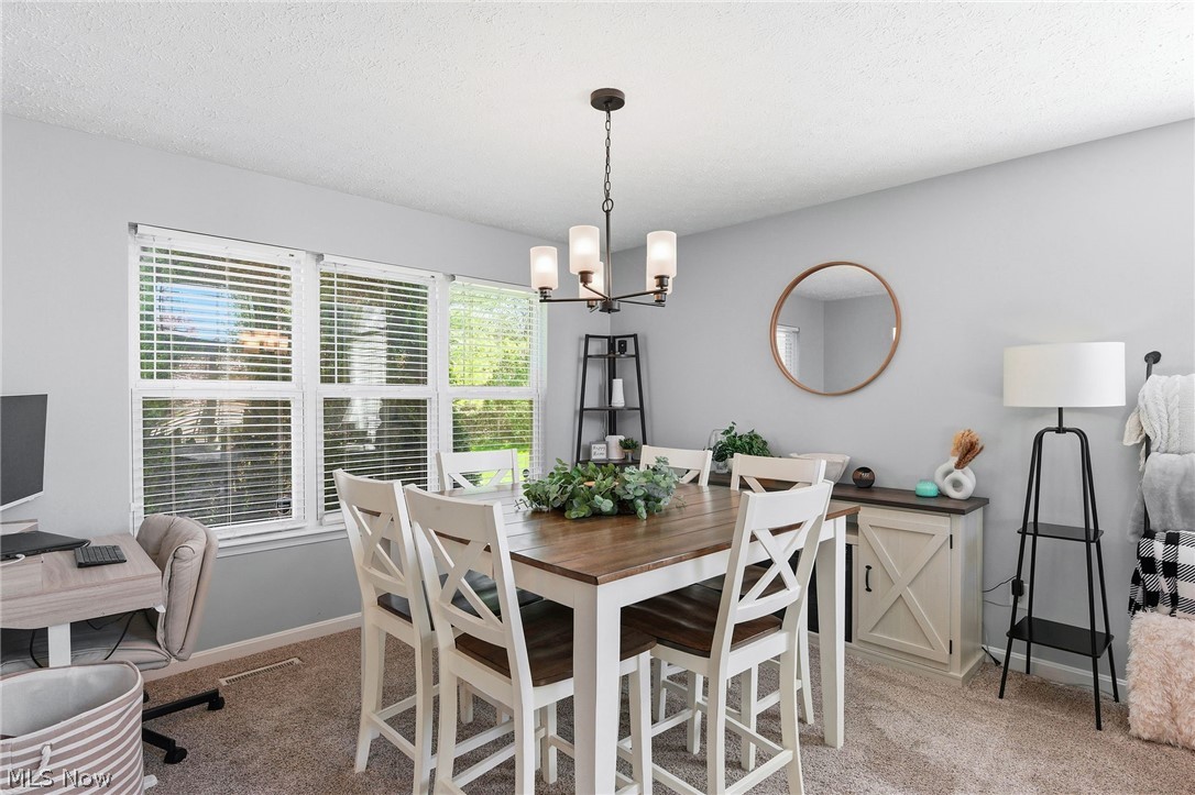 4907 Kennebank Lane Medina OH 44256