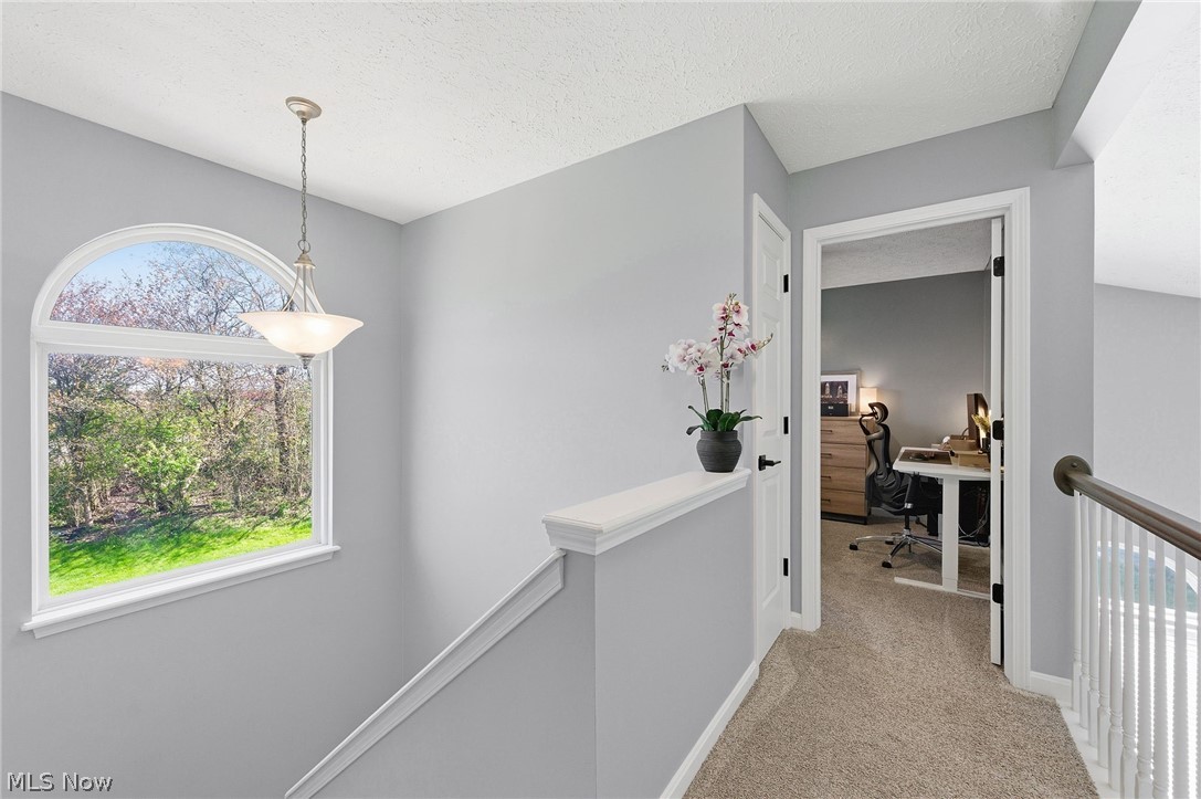 4907 Kennebank Lane Medina OH 44256